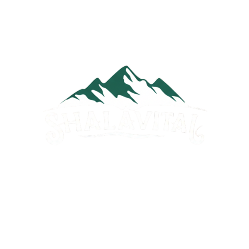 untitled design (22)